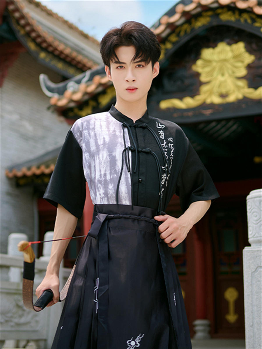 Horse face skirt | embroidered horse face skirt(马面裙)