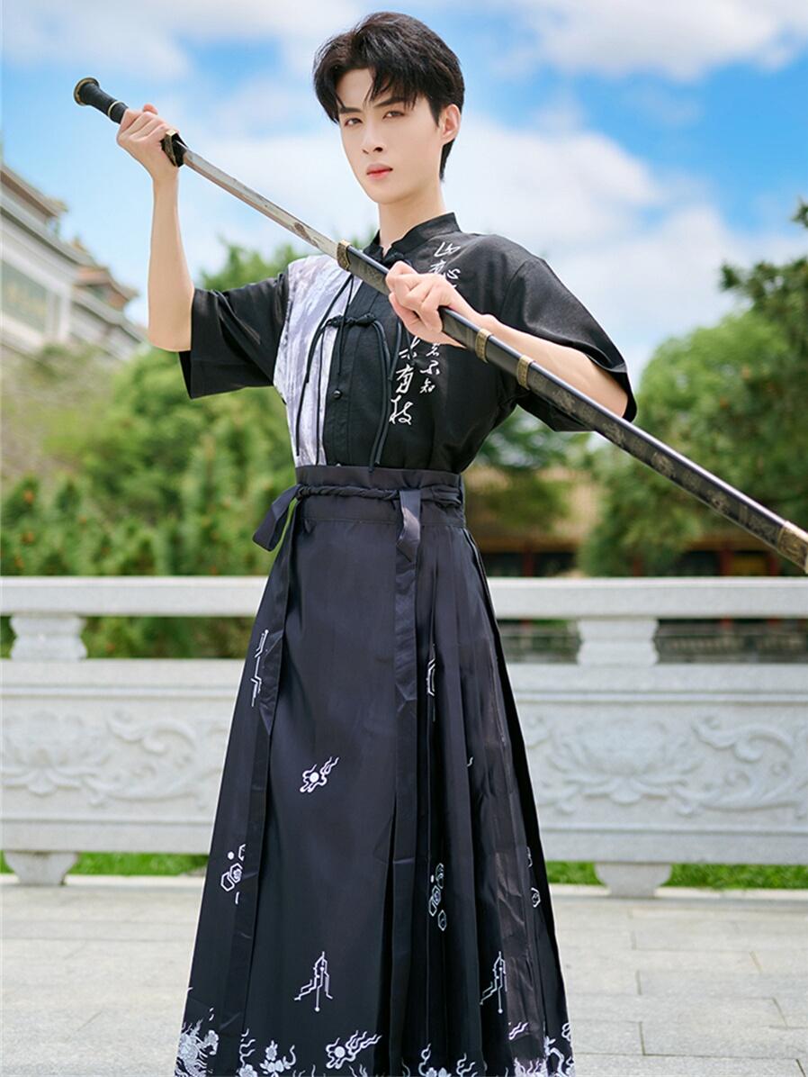 Horse face skirt | embroidered horse face skirt(马面裙)