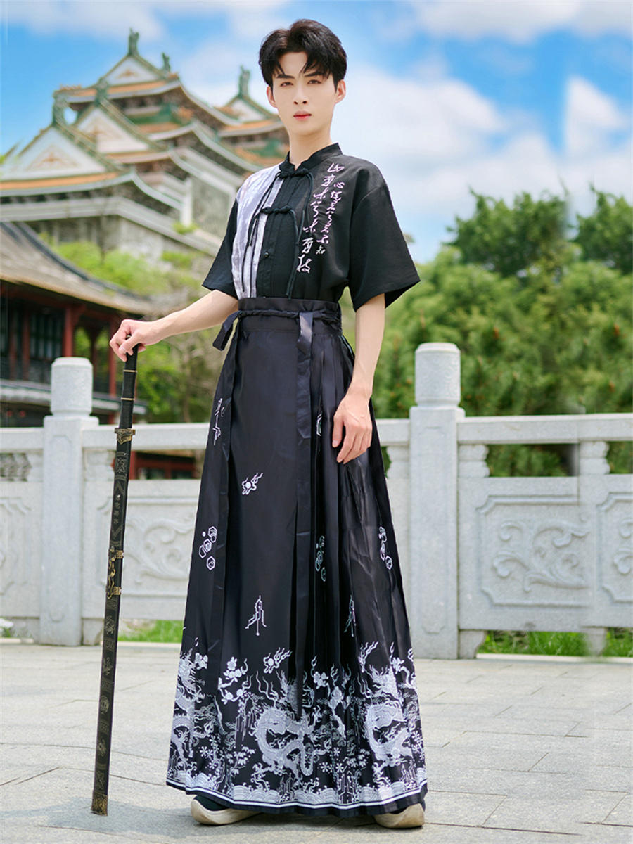Horse face skirt | embroidered horse face skirt(马面裙)