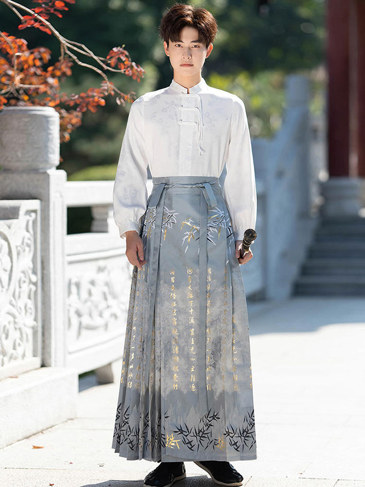 Horse face skirt | Horse face skirt two-piece set(马面裙)