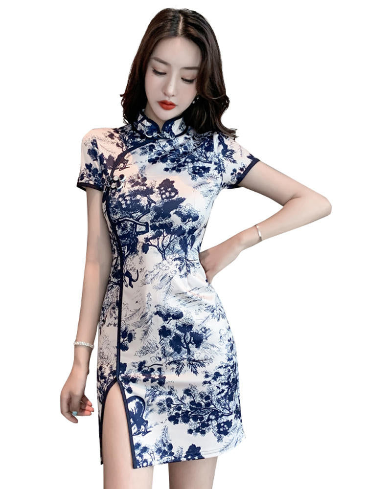 Ink dyed snow shadow | cheongsam(墨染雪影)