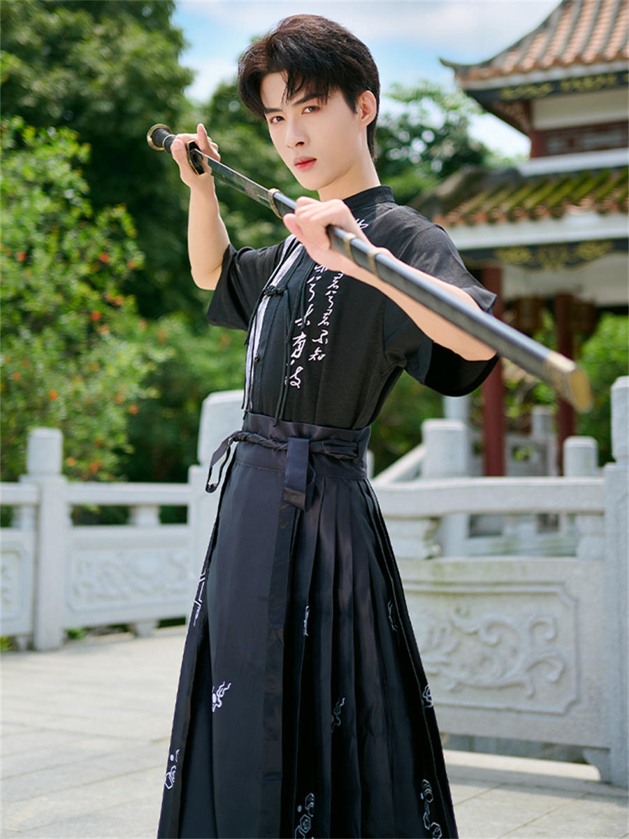 Horse face skirt | embroidered horse face skirt(马面裙)