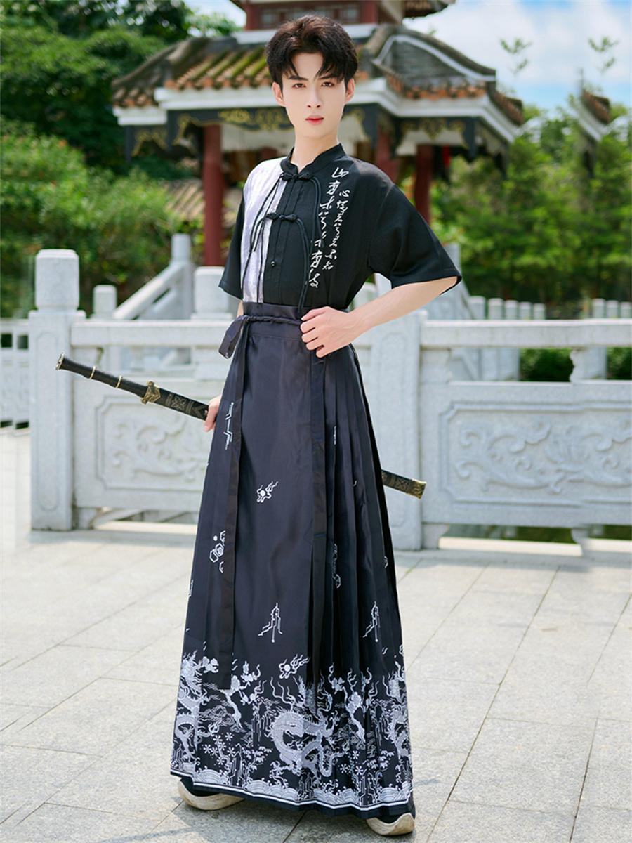 Horse face skirt | embroidered horse face skirt(马面裙)
