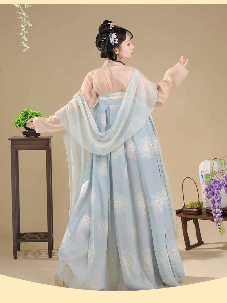 Changan Flowers | Tang Plus Hanfu (长安花)