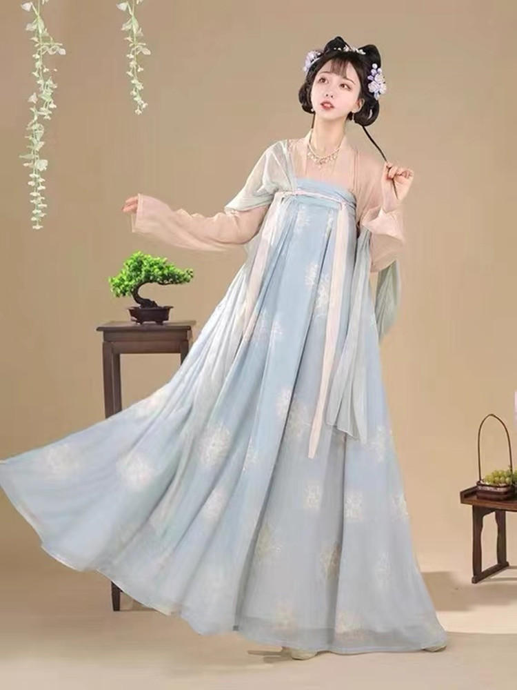 Changan Flowers | Tang Plus Hanfu (长安花)